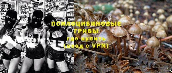 гидра Нея