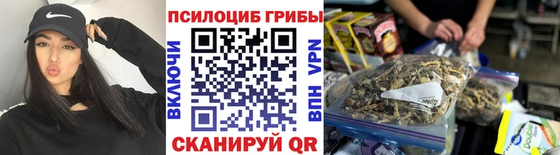 Псилоцибиновые грибы Psilocybine cubensis  где купить наркоту  Самара 