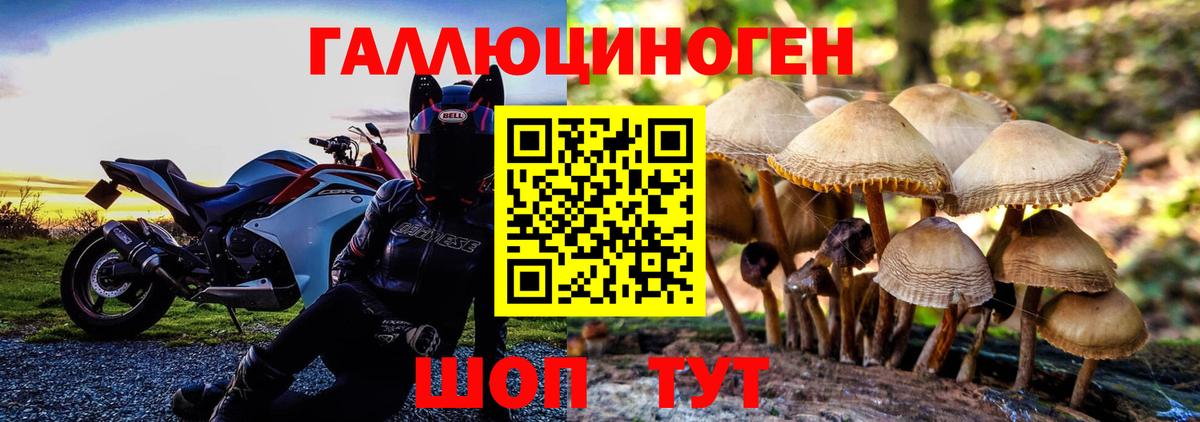 Псилоцибиновые грибы Psilocybe  цена   Самара  Вход с VPN  Псилоцибиновые грибы Cubensis 