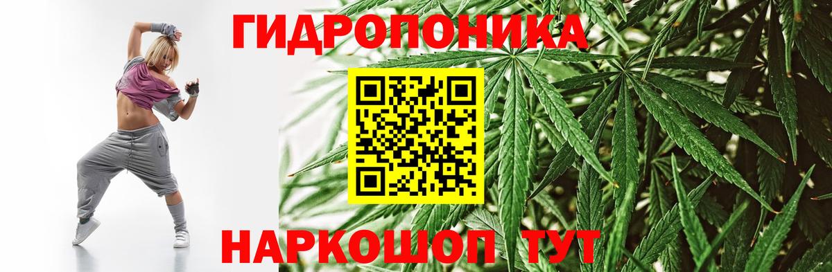 Бошки марихуана SATIVA & INDICA Самара